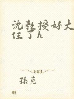沈教授好大含不住了h