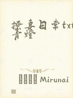 撩妻日常txt青灯