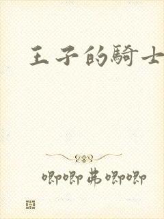 王子的骑士小说