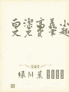 白洁高义小说全文免费笔趣阁阅读高