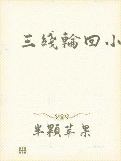 三线轮回小说