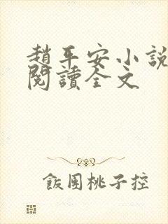 赵平安小说免费阅读全文