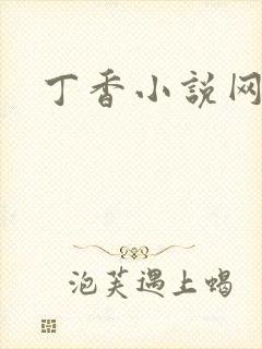 丁香小说网