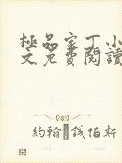 极品家丁小说全文免费阅读