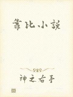 靠比小说