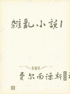 杂乱小说1