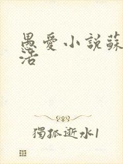 愚爱小说苏倩孙浩