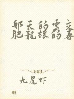 那天的云交雨合肥龙根的春天