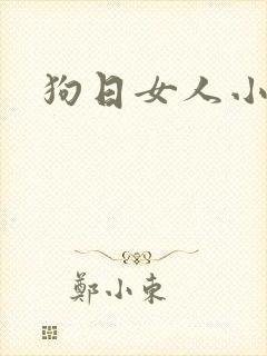 狗日女人小说