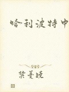 哈利波特中文版