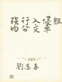 强行入侵粗暴h肉公交车