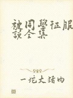 被同学征服的小说全集