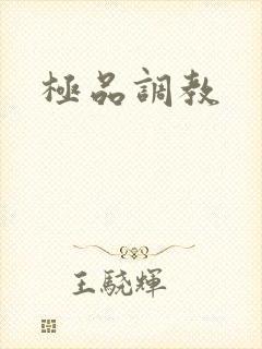 极品调教