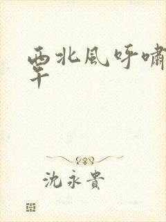 西北风呼啸的中午