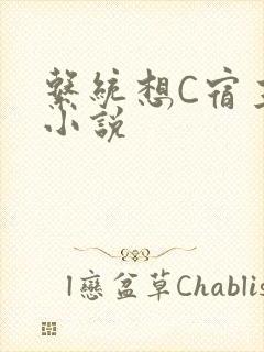 系统想C宿主的小说