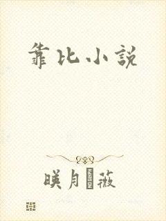 靠比小说