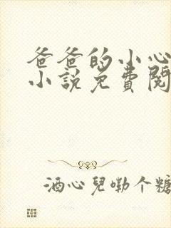 爸爸的小心肝儿小说免费阅读