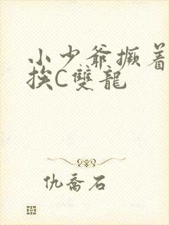 小少爷撅着屁股挨C双龙