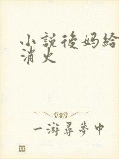 小说后妈给我消消火