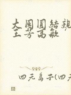 大团圆结亲情会王芳高敏