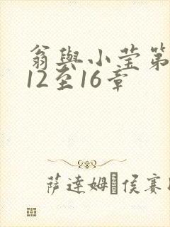 翁与小莹第十部12至16章