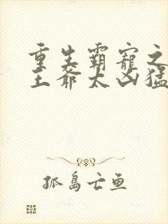 重生霸宠之摄政王爷太凶猛