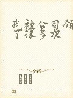 我被公司领导C了很多次