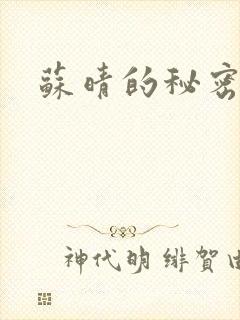 苏晴的秘密小说