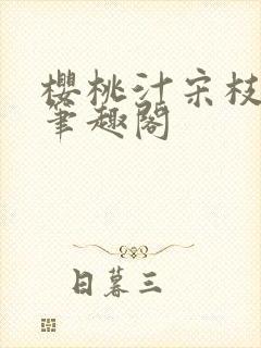 樱桃汁宋枝江野笔趣阁