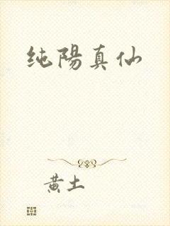 纯阳真仙