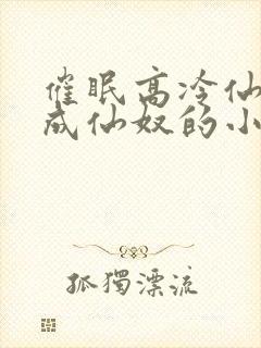 催眠高冷仙奴变成仙奴的小说