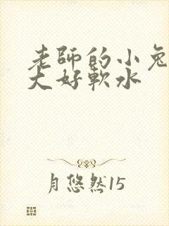 老师的小兔子好大好软水