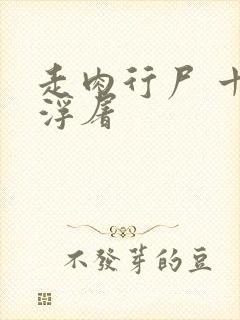 走肉行尸 十阶浮屠