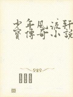 少年风流轩辕大宝传奇小说
