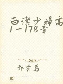 白洁少妇高义第1一178章