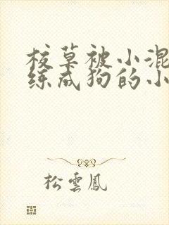 校草被小混混训练成狗的小说