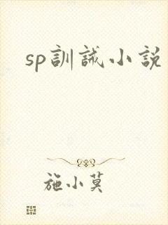 sp训诫小说