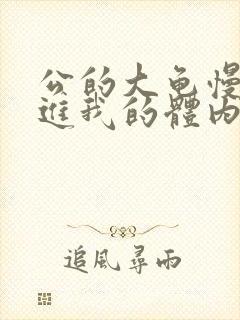 公的大龟慢慢挺进我的体内视频