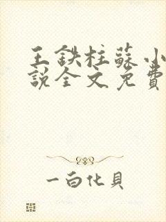 王铁柱苏小汐小说全文免费阅读最新章节