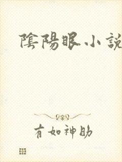 阴阳眼小说