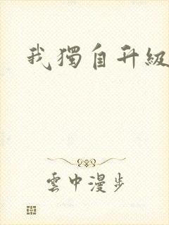 我独自升级小说