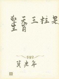 擎天玉柱是什么生肖