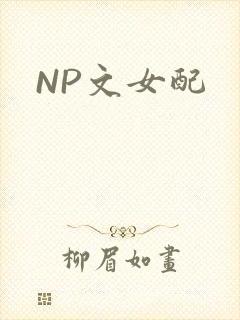 NP文女配