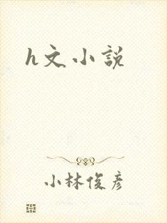 h文小说