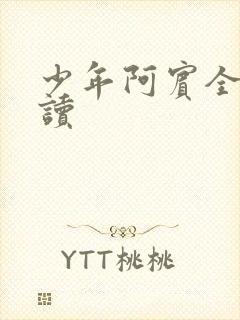 少年阿宾全集阅读