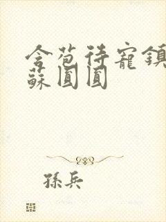 含苞待宠镇国公苏圆圆