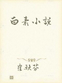 白素小说