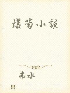 爆菊小说