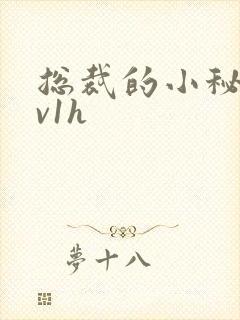 总裁的小秘书1v1h