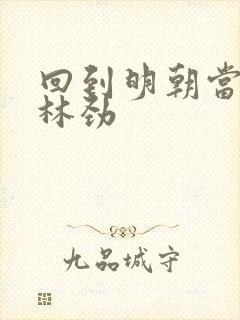 回到明朝当王爷林劲